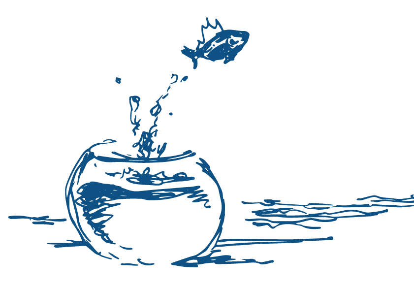 Private Akademie soziale Systeme – Beratung und Coaching