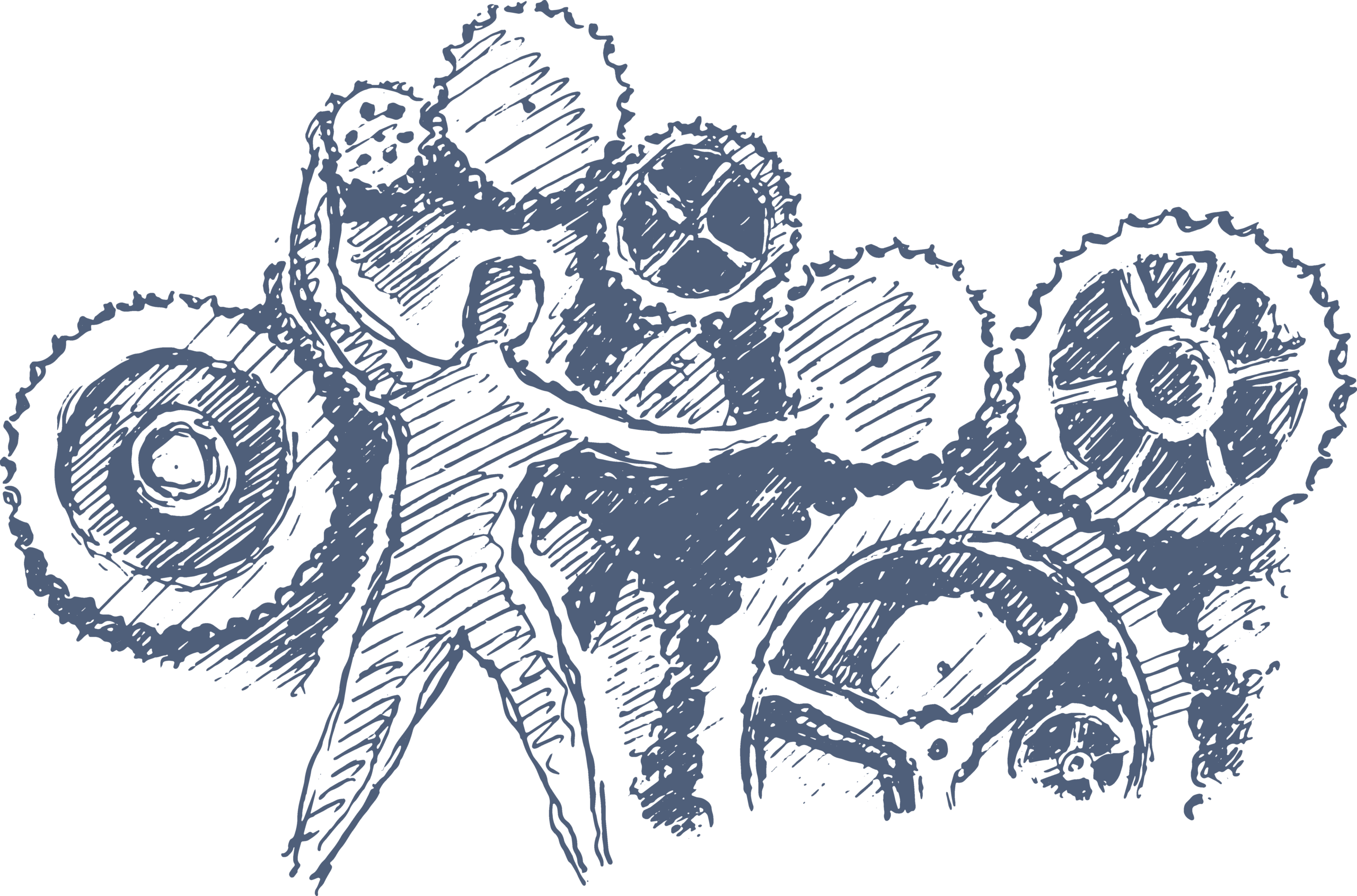 Private Akademie soziale Systeme – Beratung und Coaching